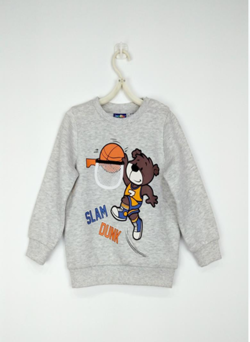 Toddler Boys Sweat Shirt