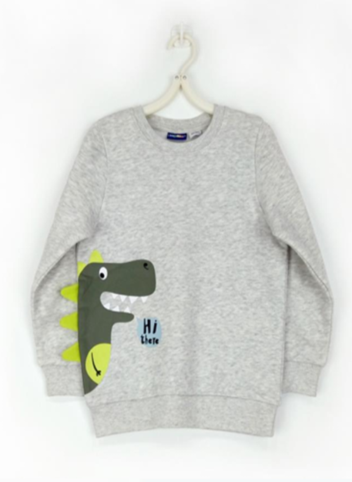 Toddler Boys Sweat Shirt
