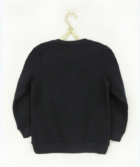 Screenshot 2026-01-25 211425