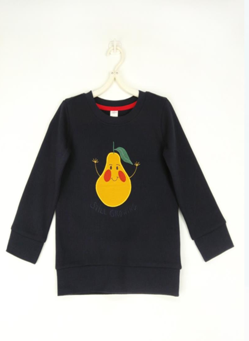 Toddler Boys Sweat Shirt
