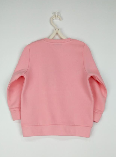 Screenshot 2026-01-25 232845